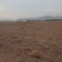 زمین کشاورزی