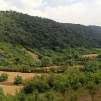 ویدئو-رو-تماشا-کنید-رستمکلای-بهشهر
