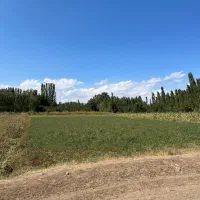 زمین ویلایی روستای کورتای