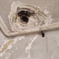 رنگ آمیزی ساختمان و بتونه کناف|خدمات پیشه و مهارت|یاسوج, |دیوار