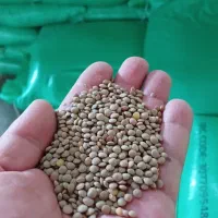 خشکبار اخوان فریدی|عمده‌فروشی|اصفهان, آفاران|دیوار