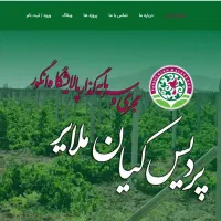 طراحی سایت حرفه‌ای با قیمت مناسب