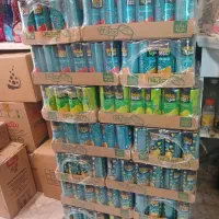 رانی سانی نس