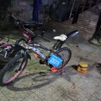 دوچرخه 20|دوچرخه، اسکیت، اسکوتر|مسجد سلیمان, |دیوار