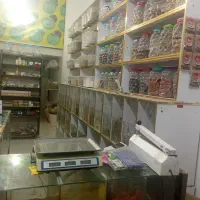 دکوراسیون مغازه عطاری|فروشگاه و مغازه|رباط‌کریم, رباط‌کریم|دیوار