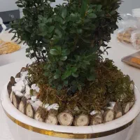 گل تزئینی طبیعی