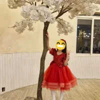 کرایه انواع لباس‌های پرنسسی کودک و مجلسی بزرگسال|لباس|همدان, |دیوار