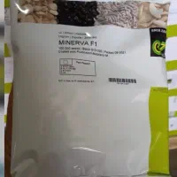 فروش انواع بذر های پیاز