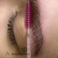 فرصت ویژه میکروبلیدینگ تخصصی ابرو( مدل رای.گان)|خدمات آرایشگری و زیبایی|گرگان, |دیوار