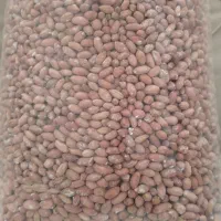 بادام زمینی اعلا آستانه