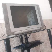 تلویزیون