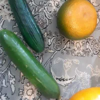 میوه  های مصنوعی|گل مصنوعی|کرج, حصارک بالا|دیوار