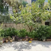 ۱۴۰ متر  جمالزاده