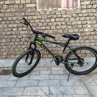 دوچرخه ویوا حرفه ای ۲۶