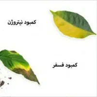 محصولات سبوسیب اسیدهیومیک محرک رشد|گل و گیاه طبیعی|شیراز, دباغ خانه|دیوار