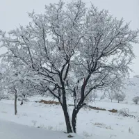 زمین شهر نراق|فروش زمین و ملک کلنگی|دلیجان, |دیوار