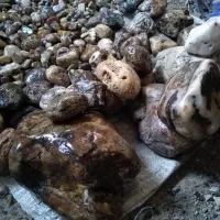 فروش تعدادی سنگ تزئینی|جواهرات|لاهیجان, انقلاب|دیوار