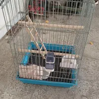 قفس پرنده