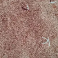 موکت