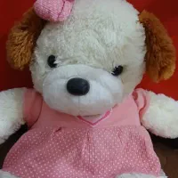 تعدادی عروسک