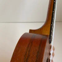 اکو له له Aleho سوپرانو|گیتار، بیس، امپلیفایر|تهران, نیاوران|دیوار