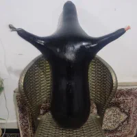 نی انبان|سازهای بادی|بوشهر, |دیوار