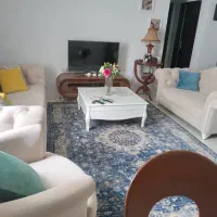 فروش تعدادی لوازم خانه نو، میز عسلی، فرش، درختچه