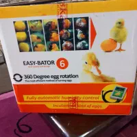 دستگاه جوجه کشی 12 تایی حرفه ای