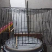 2عدد قفس|لوازم جانبی حیوانات|محمدیه-قزوین, |دیوار
