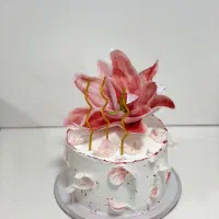 کیک و شیرینی خانگی