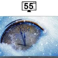تلویزیون ایکس ویژن 55