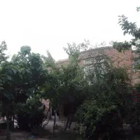 مشارکت در ساخت|مشارکت در ساخت املاک|تبریز, |دیوار