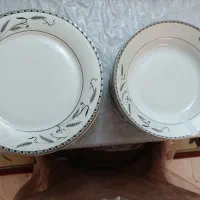 سرویس چینی و آرکوپال