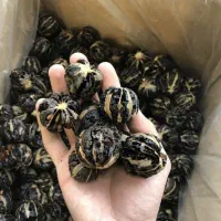 شاگرد خانوم  جهت فروشندگی منظم