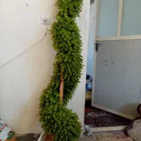 گلدان مصنویی