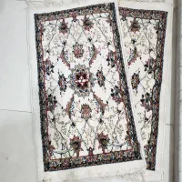 ۲ عدد پادری