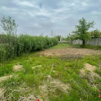 مناسب برای سرمایه گذاری،مسکونی،سندتک،تولم شهرماتک|فروش زمین و ملک کلنگی|فومن, |دیوار