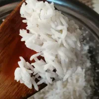 انواع برنج های ایرانی. به قیمت شمال|خوردنی و آشامیدنی|پاکدشت, پاکدشت (مامازند)|دیوار