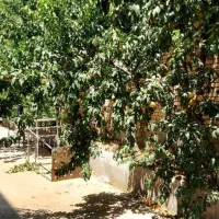 فروش کارخانه بهداشتی 4000م کاسپین 1کد5769|فروش دفتر صنعتی، کشاورزی، تجاری|آبیک, |دیوار