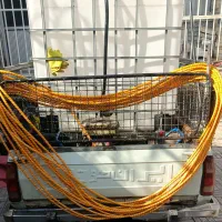 سم پاشی باغ و باغچه