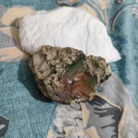 سنگ عقیق سلیمانی و شجر|کلکسیون اشیاء عتیقه|شیراز, معالیآباد|دیوار