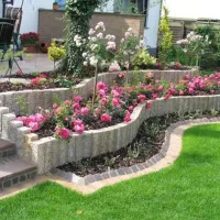 هرس ، باغبانی ، احیا باغچه ، کاشت و طراحی