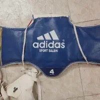 هوگو
