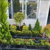 خدمات کلیه باغبانی باغچه کاری هرسکاری گلکاری کاشت|خدمات باغبانی و درختکاری|کرج, عظیمیه|دیوار