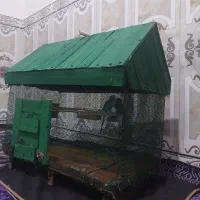 یک قفس عالی به شرط