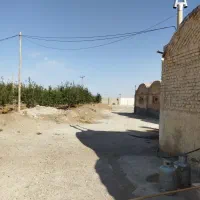 نیازمند کارگر مرغداری گوشتی 7000