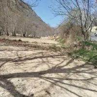 زمین کشاورزی و برنجکاری|فروش زمین و ملک کلنگی|پاتاوه, |دیوار