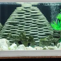 آکواریوم شرکتی شیشه خم بزرگ