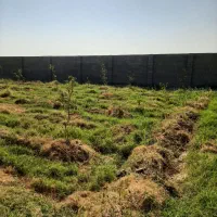 قطعه باغ ۱۰۰۰ متر|فروش دفتر صنعتی، کشاورزی، تجاری|دزفول, |دیوار