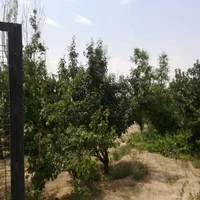 فروش زمین ۳۰۱ متری در فیروز بهرام|فروش زمین و ملک کلنگی|تهران, شهرک طالقانی|دیوار
